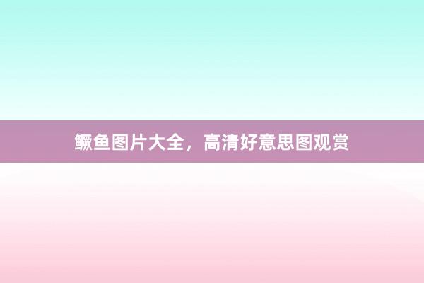 鳜鱼图片大全，高清好意思图观赏
