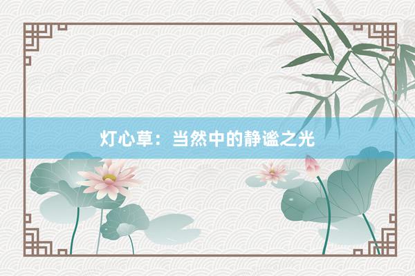 灯心草：当然中的静谧之光